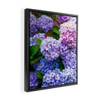 Purple Hydrangeas Blooming Framed Canvas Print Gallery Image 2