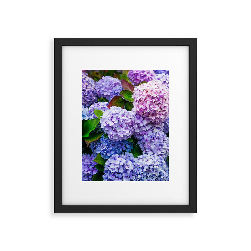 Purple Hydrangeas Blooming Framed Art Print Gallery Image 5