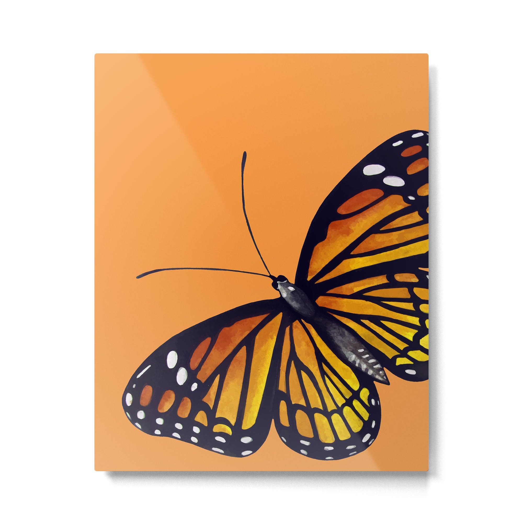 Monarch Butterflies Metal Print Gallery Image 6