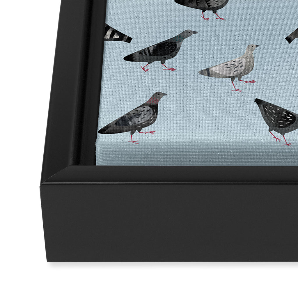 Pigeons Doing Pigeon Things Framed Canvas Print Gallery Image 3