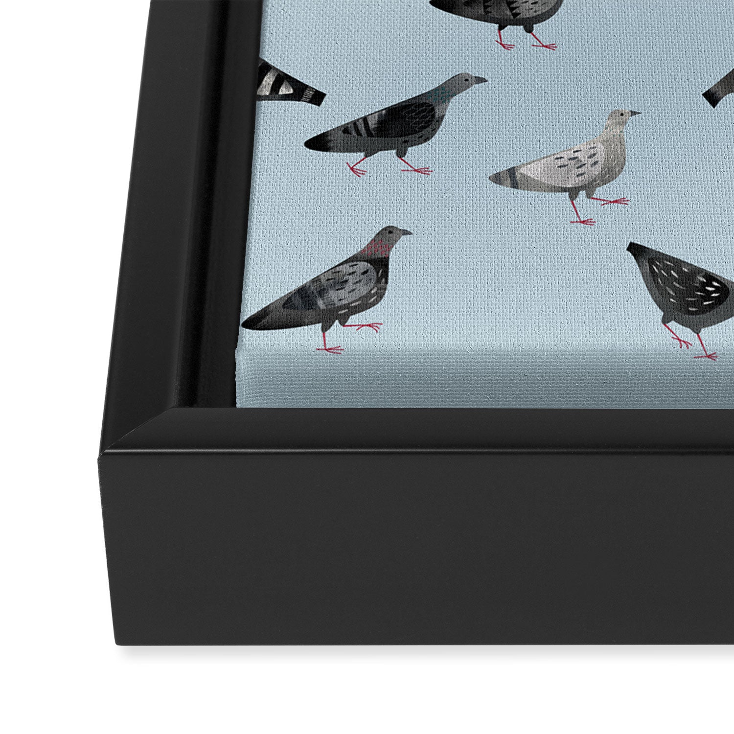 Pigeons Doing Pigeon Things Framed Canvas Print Gallery Image 3
