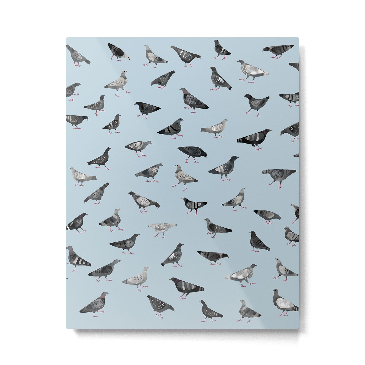 Pigeons Doing Pigeon Things Metal Print Gallery Image 6