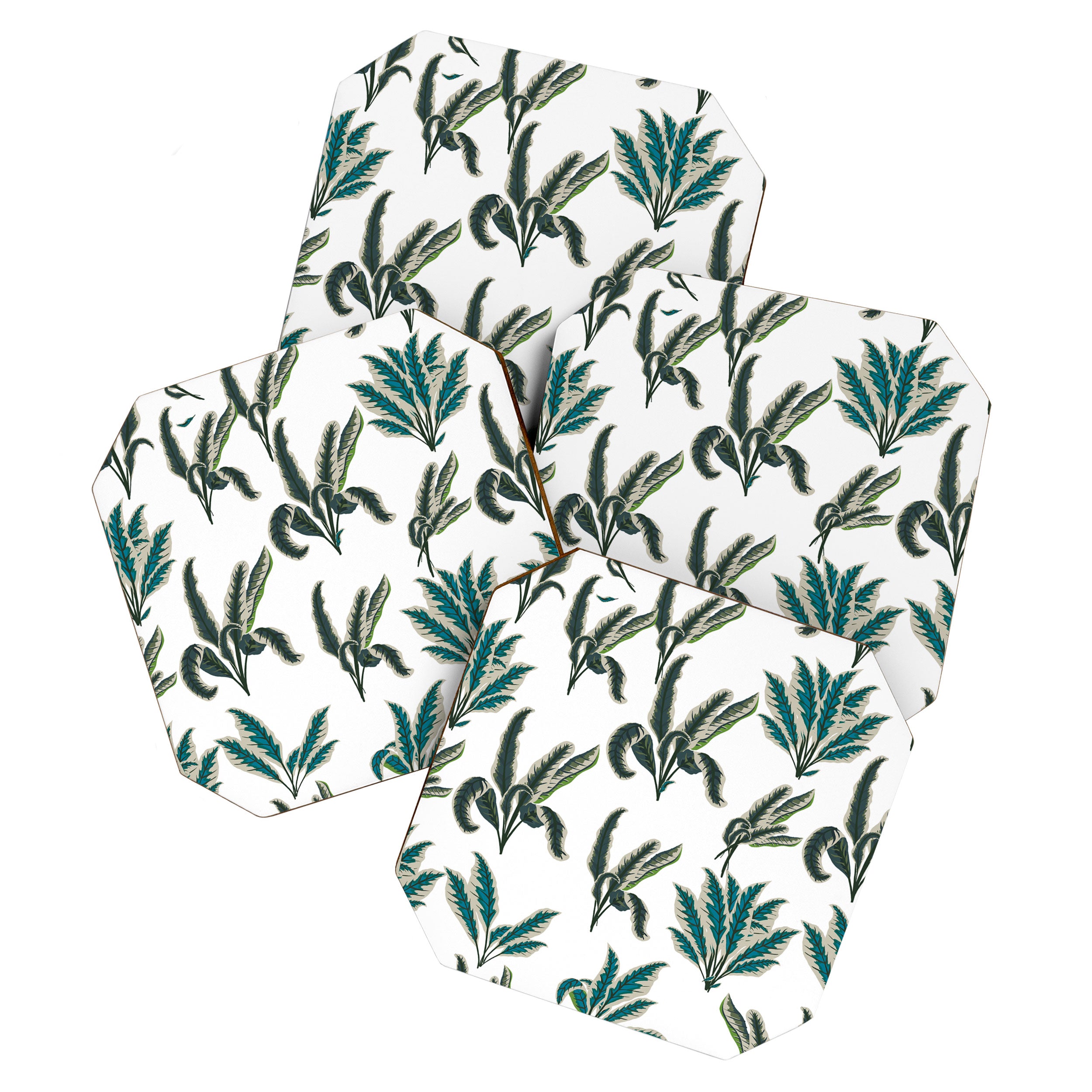 Botanical Plants Coaster Gallery Image 1