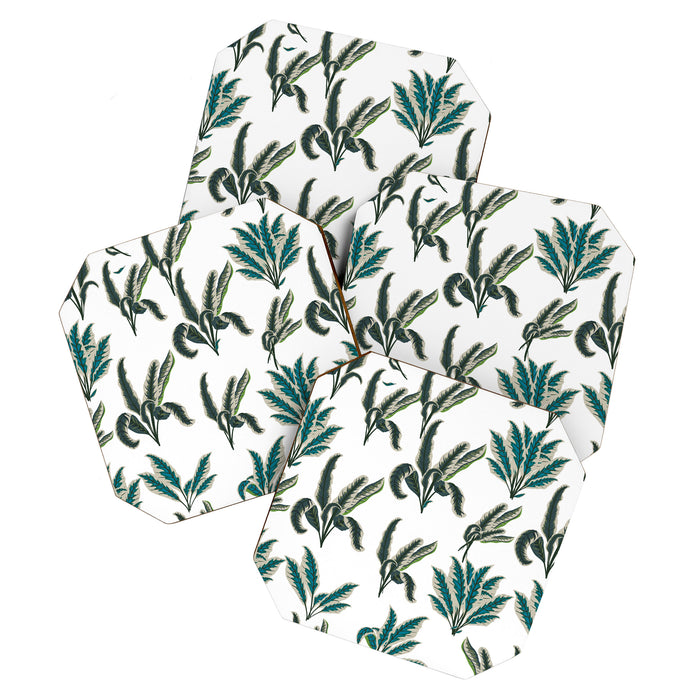 Botanical Plants Coaster Gallery Image 1