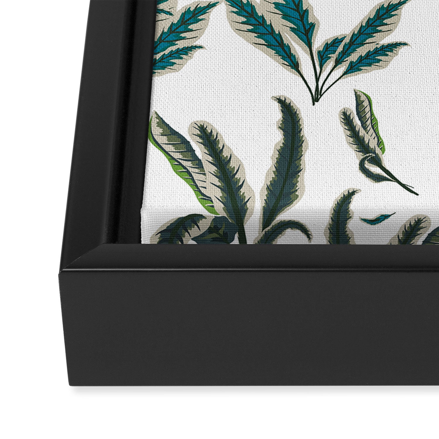 Botanical Plants Framed Canvas Print Gallery Image 3