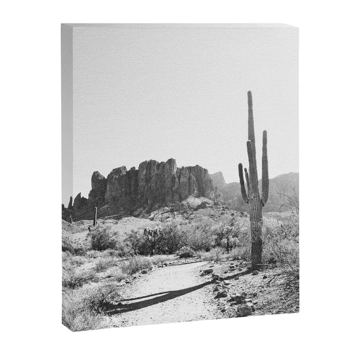 ARIZONA DESERT II Canvas Print Gallery Image 1
