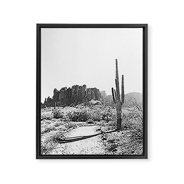 ARIZONA DESERT II Framed Canvas Print Gallery Image 1