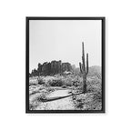 ARIZONA DESERT II Framed Canvas Print Gallery Image 6