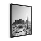 ARIZONA DESERT II Framed Canvas Print Gallery Image 2