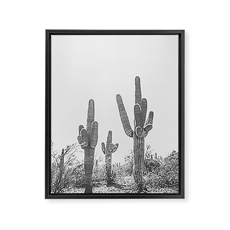 ARIZONA DESERT IV / Phoenix Framed Canvas Print Gallery Image 6