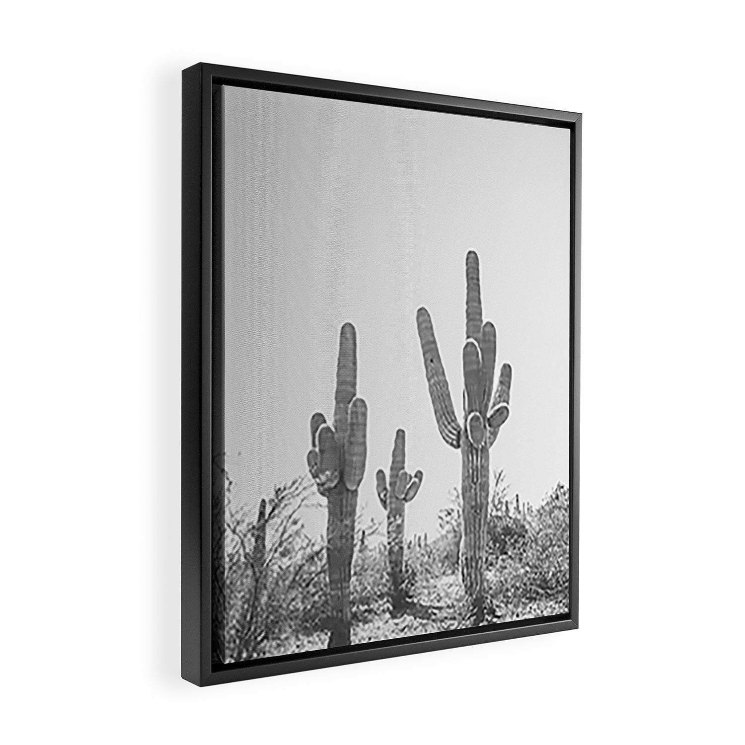 ARIZONA DESERT IV / Phoenix Framed Canvas Print Gallery Image 2