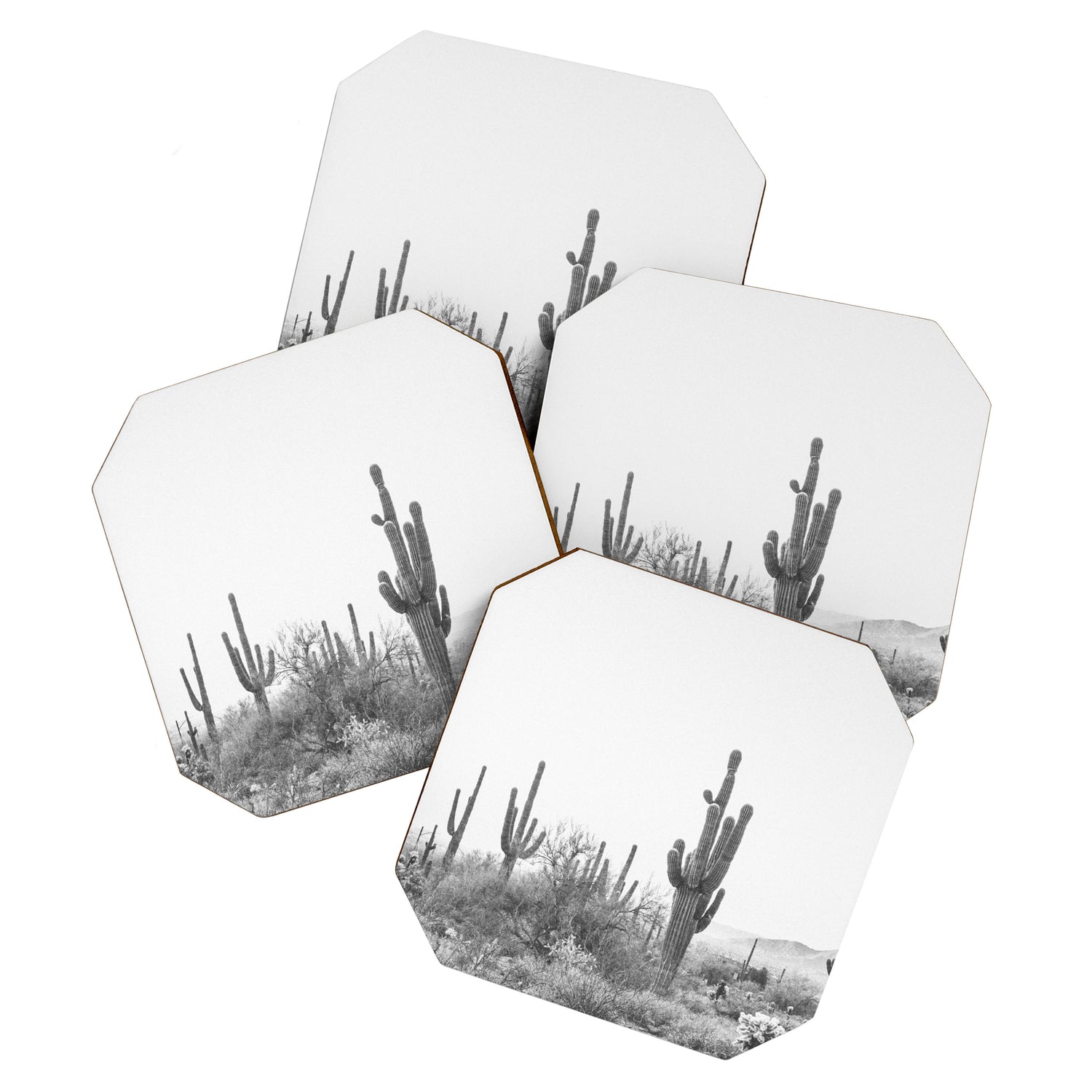 ARIZONA DESERT VI / Scottsdale Coaster Gallery Image 1