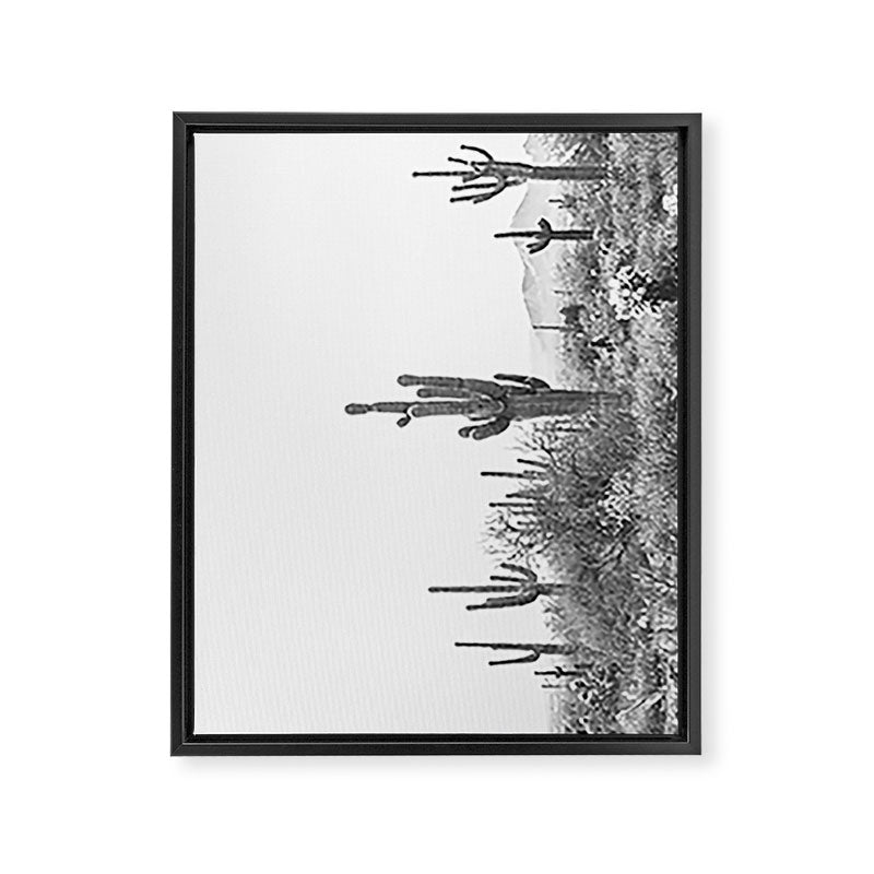 ARIZONA DESERT VI / Scottsdale Framed Canvas Print Gallery Image 6