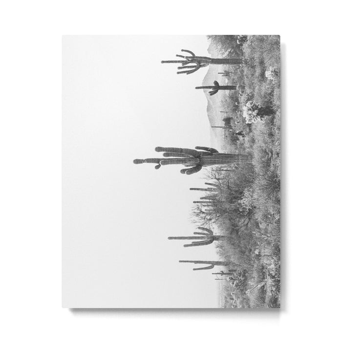 ARIZONA DESERT VI / Scottsdale Metal Print Gallery Image 1
