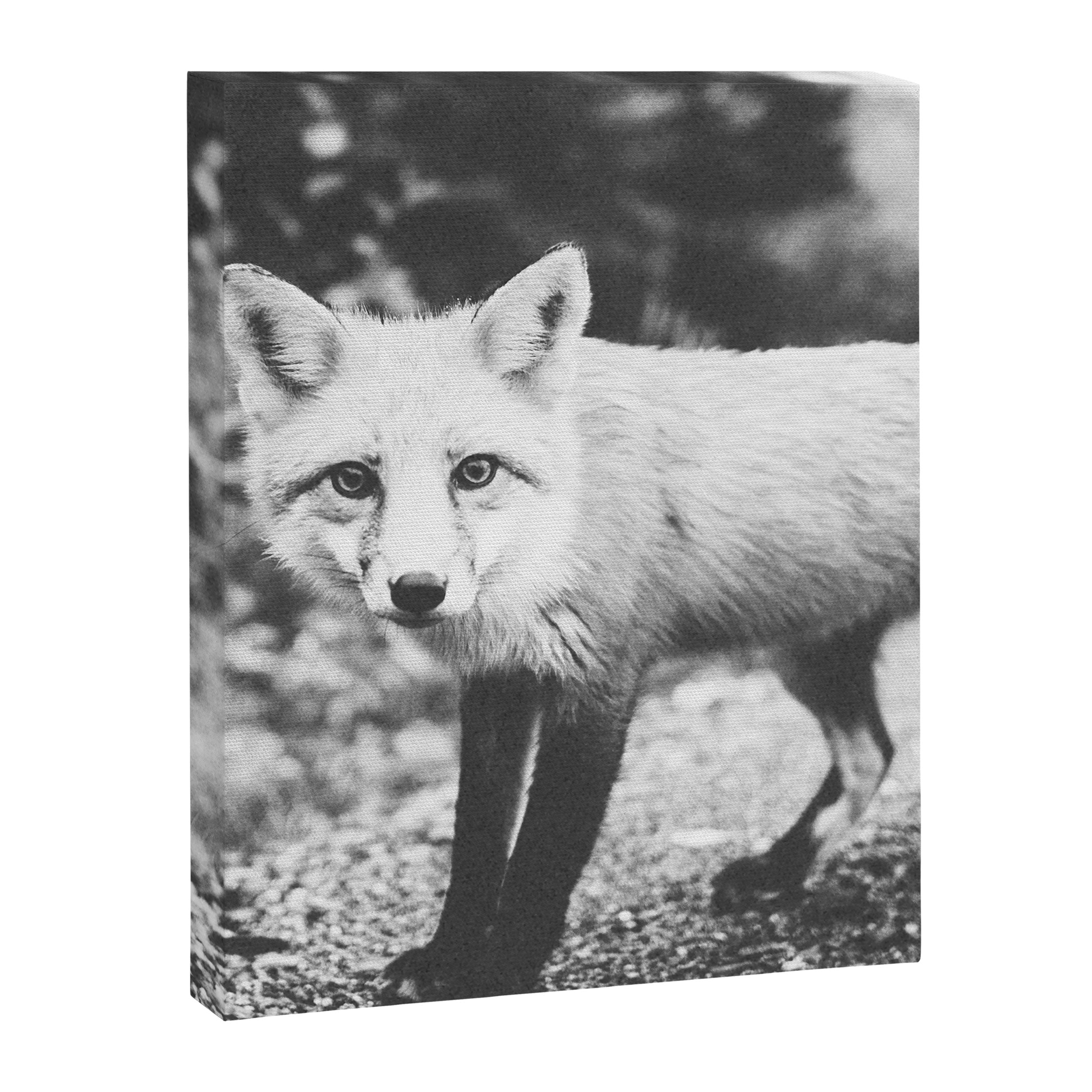 CURIOUS FOX III Canvas Print Gallery Image 6