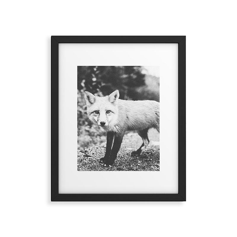 CURIOUS FOX III Framed Art Print Gallery Image 5