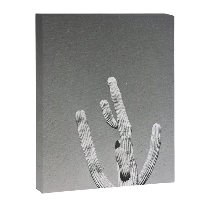 DESERT CACTUS VIII Canvas Print Gallery Image 1