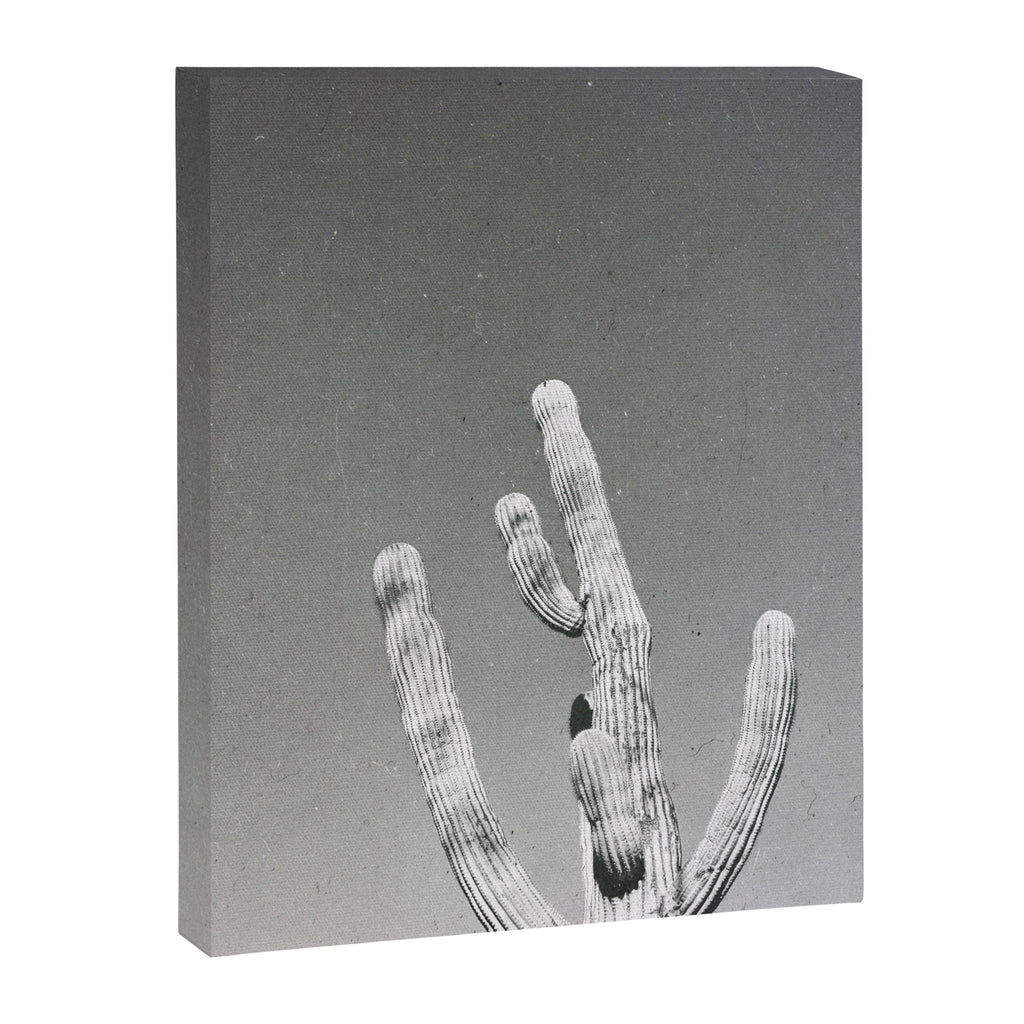 DESERT CACTUS VIII Canvas Print Gallery Image 6