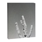 DESERT CACTUS VIII Canvas Print Gallery Image 6