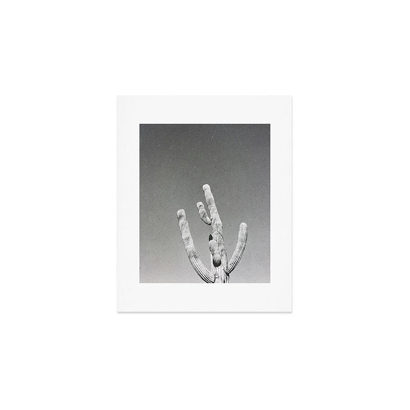DESERT CACTUS VIII Art Print Gallery Image 1
