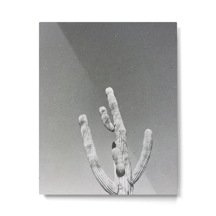 DESERT CACTUS VIII Metal Print Gallery Image 1