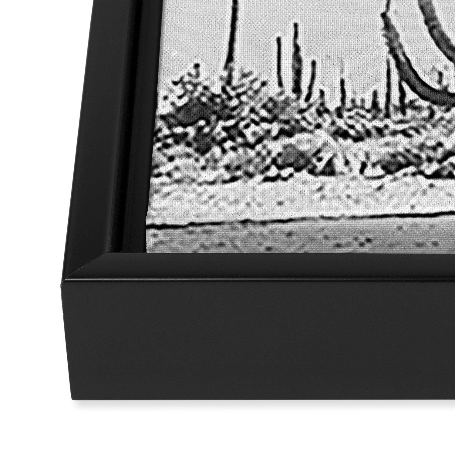 DESERT CACTUS XVII / Baja, Mexico Framed Canvas Print Gallery Image 3
