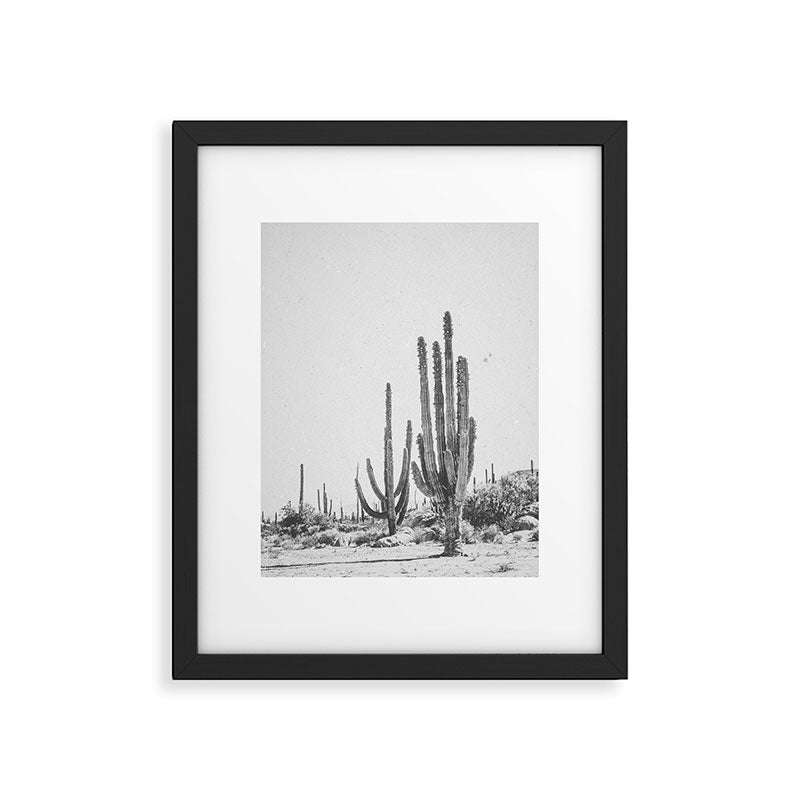 DESERT CACTUS XVII / Baja, Mexico Framed Art Print Gallery Image 4