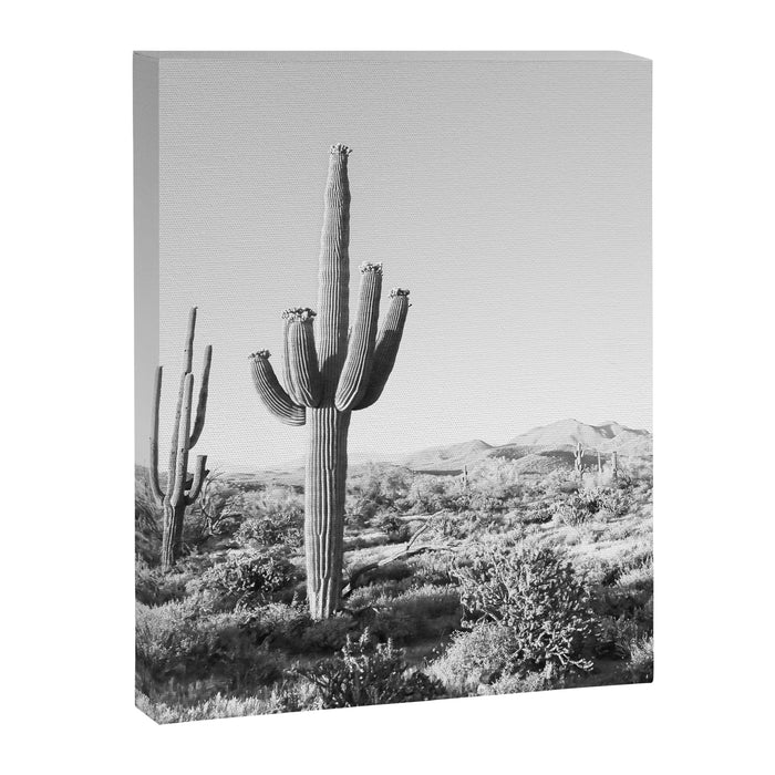 DESERT II / Phoenix, Arizona Canvas Print Gallery Image 1