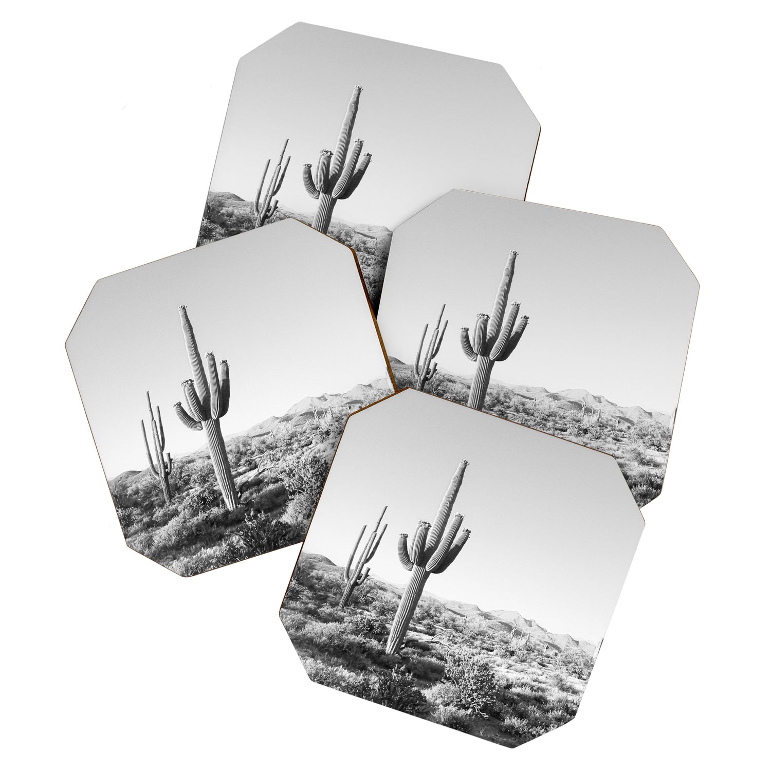 DESERT II / Phoenix, Arizona Coaster Gallery Image 1