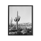 DESERT II / Phoenix, Arizona Framed Canvas Print Gallery Image 6