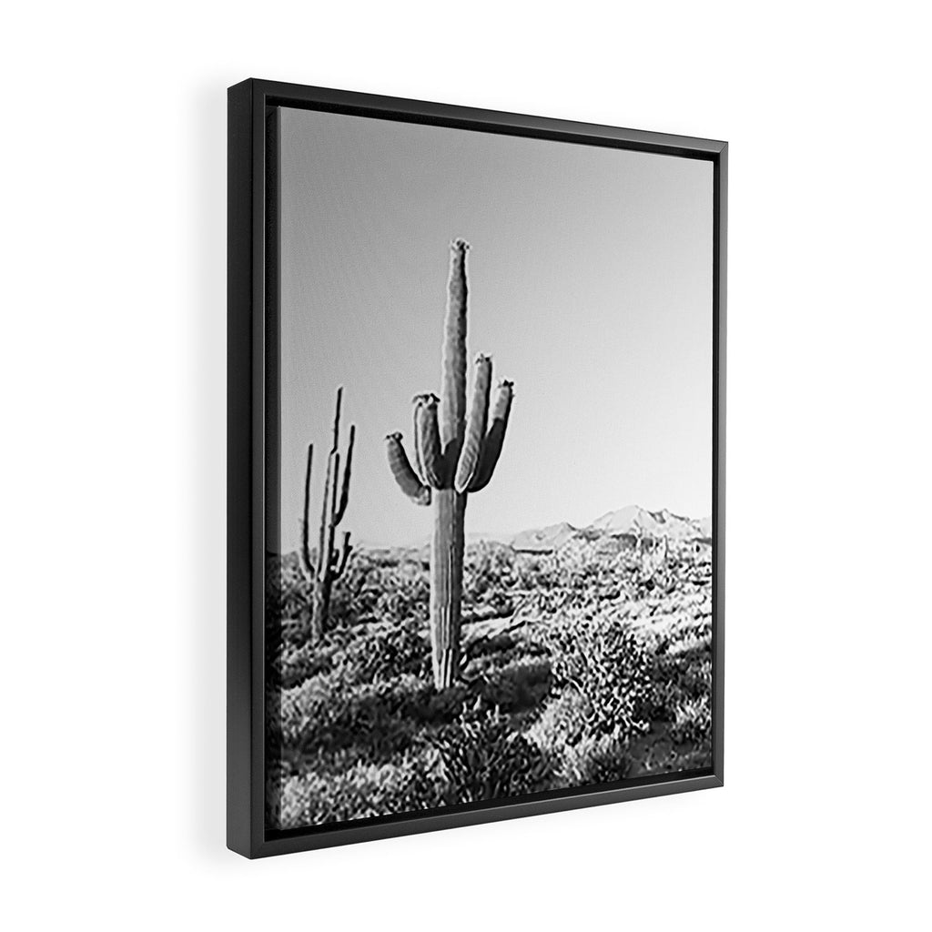 DESERT II / Phoenix, Arizona Framed Canvas Print Gallery Image 2