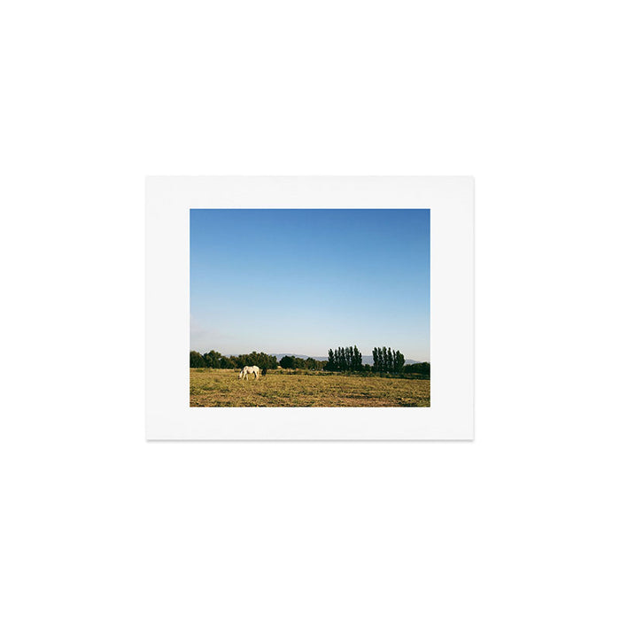 HORSES IN CALIFORNIA Art Print Gallery Image 1