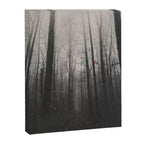 INTO THE WILD XIV Canvas Print Gallery Image 6