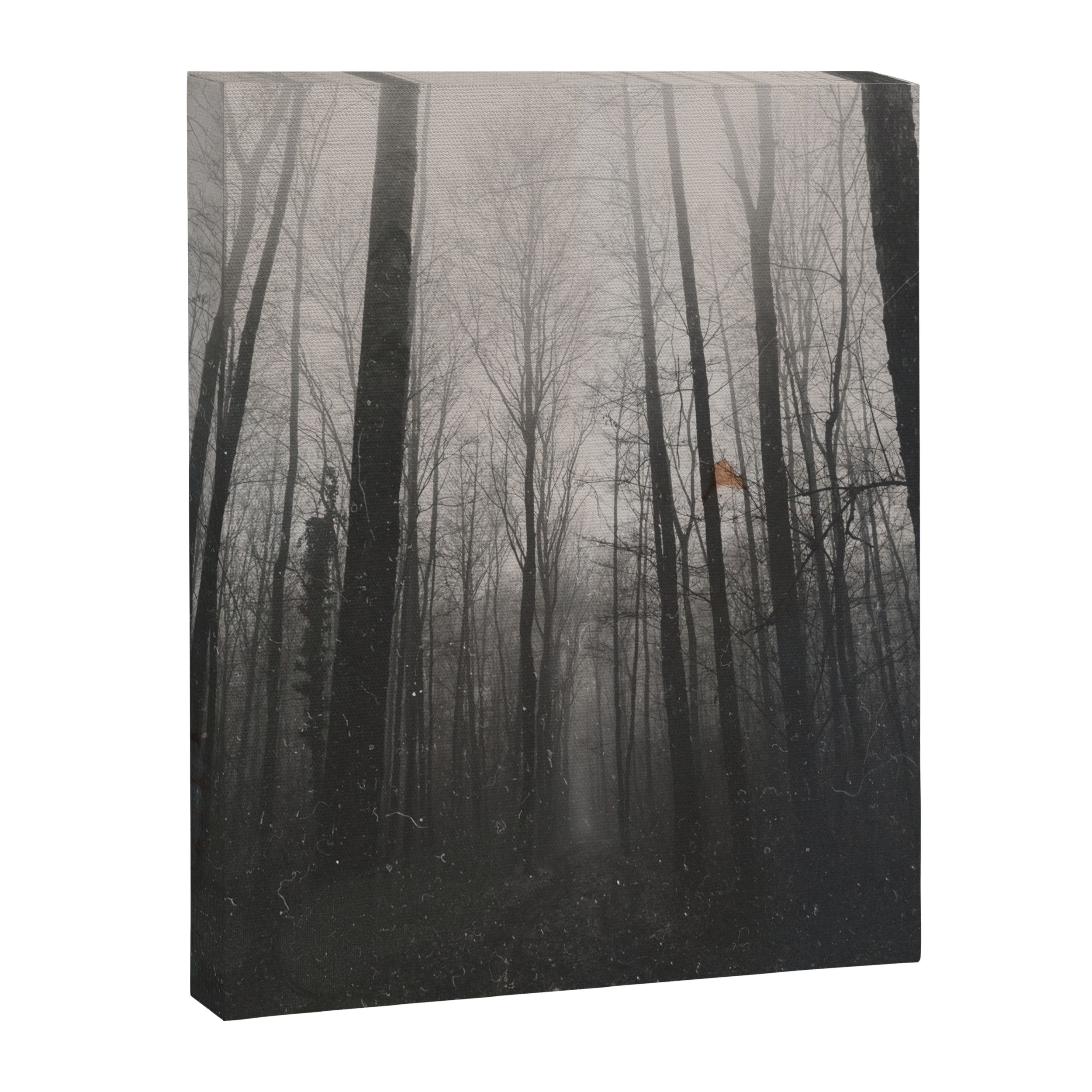 INTO THE WILD XIV Canvas Print Gallery Image 6