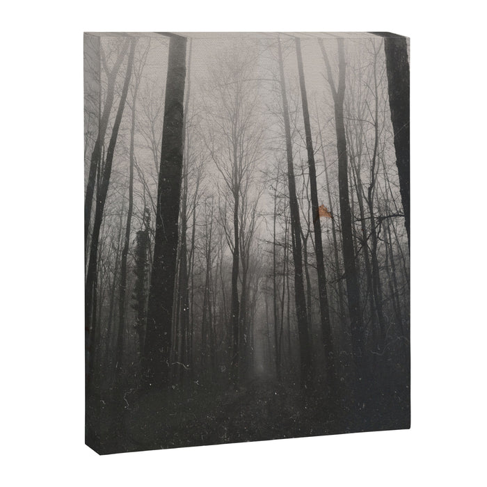 INTO THE WILD XIV Canvas Print Gallery Image 1