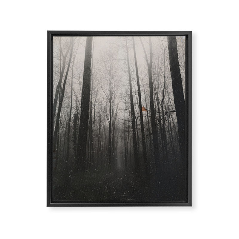 INTO THE WILD XIV Framed Canvas Print Gallery Image 6