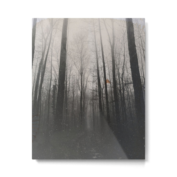INTO THE WILD XIV Metal Print Gallery Image 1