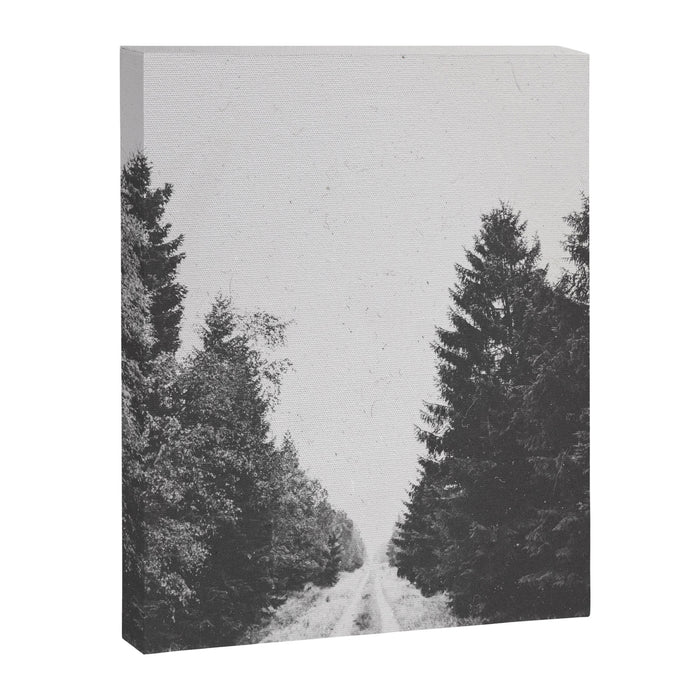 INTO THE WILD XXIII Canvas Print Gallery Image 1