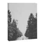 INTO THE WILD XXIII Canvas Print Gallery Image 6