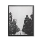 INTO THE WILD XXIII Framed Canvas Print Gallery Image 6