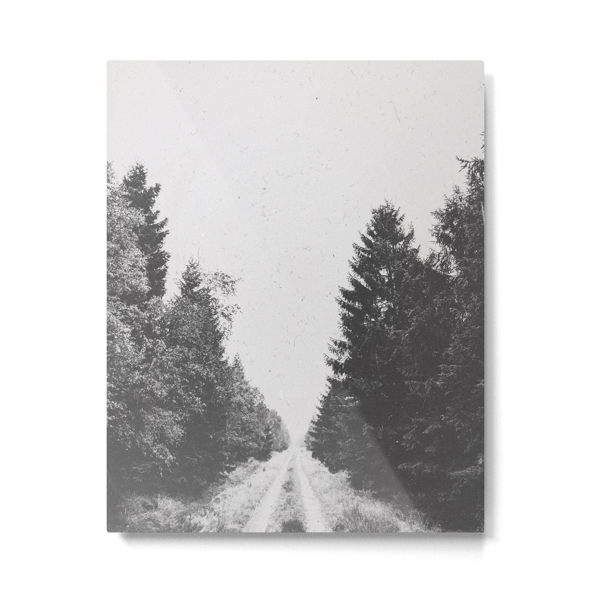 INTO THE WILD XXIII Metal Print Gallery Image 4