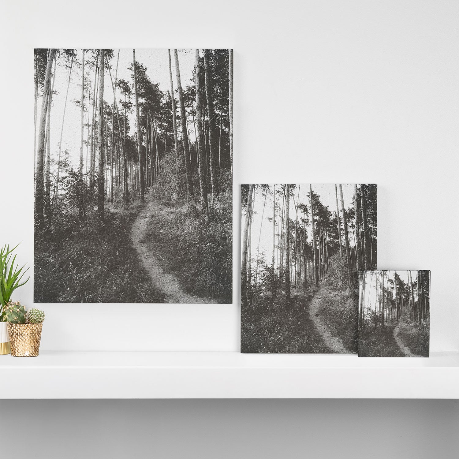 INTO THE WILD XXV Canvas Print Gallery Image 3