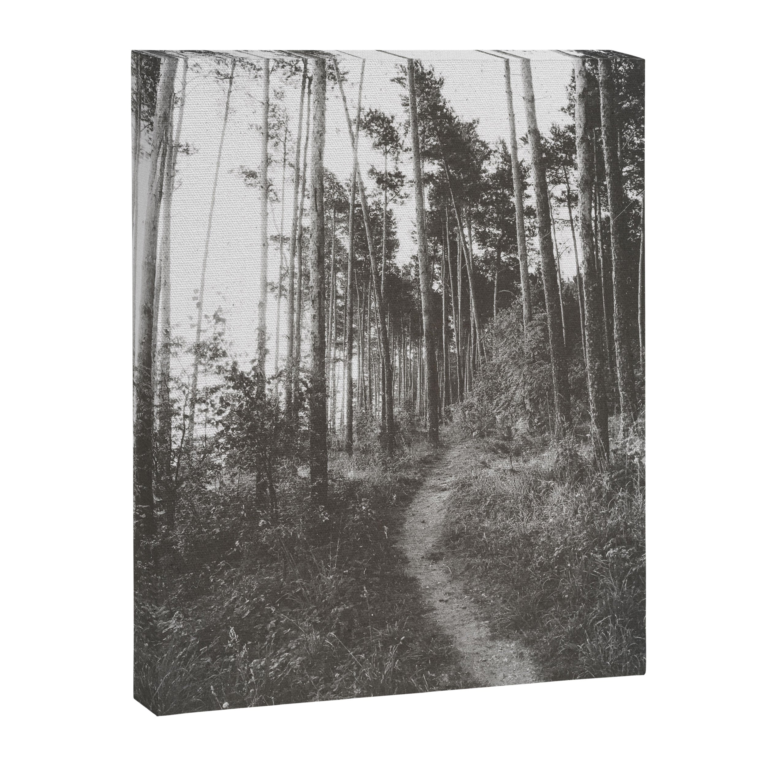 INTO THE WILD XXV Canvas Print Gallery Image 3