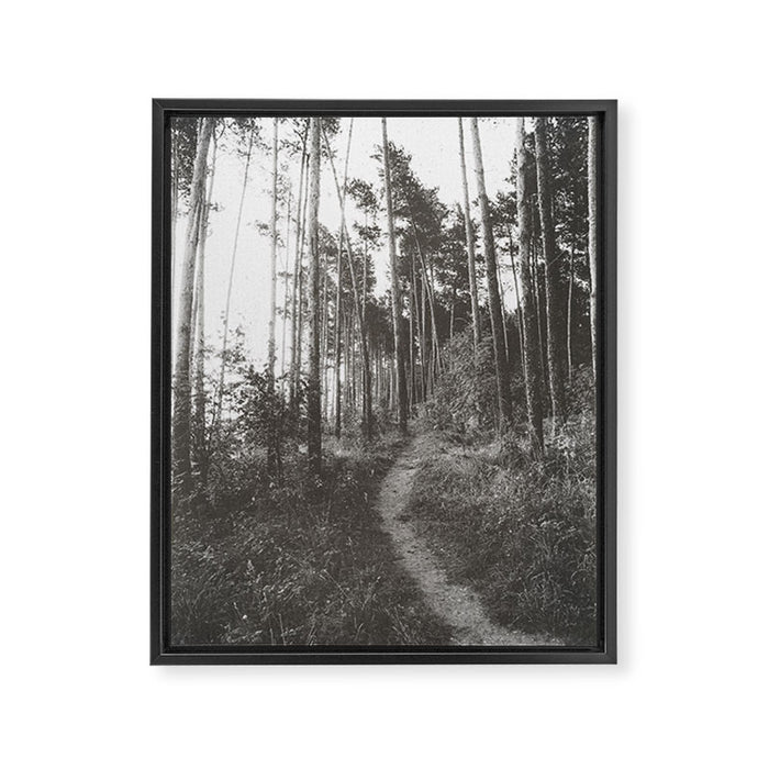 INTO THE WILD XXV Framed Canvas Print Gallery Image 1