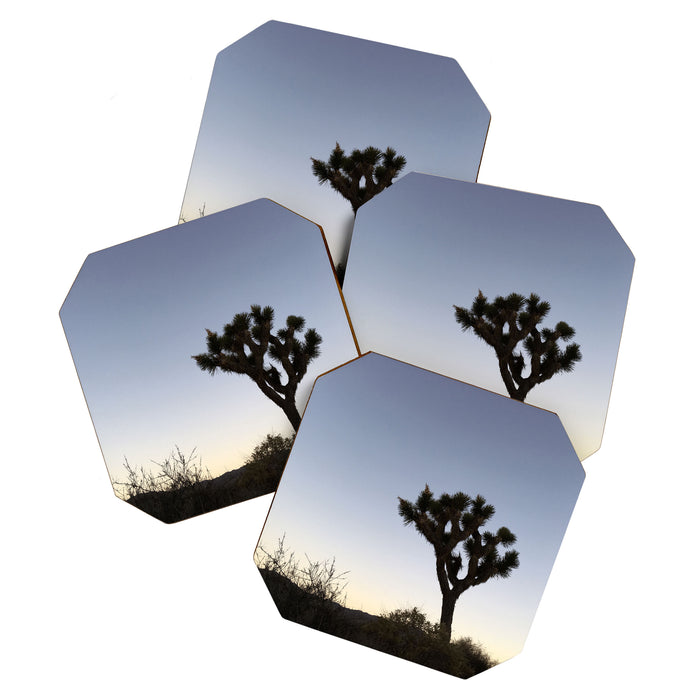 JOSHUA TREE II Coaster Gallery Image 1