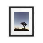 JOSHUA TREE II Framed Art Print Gallery Image 5