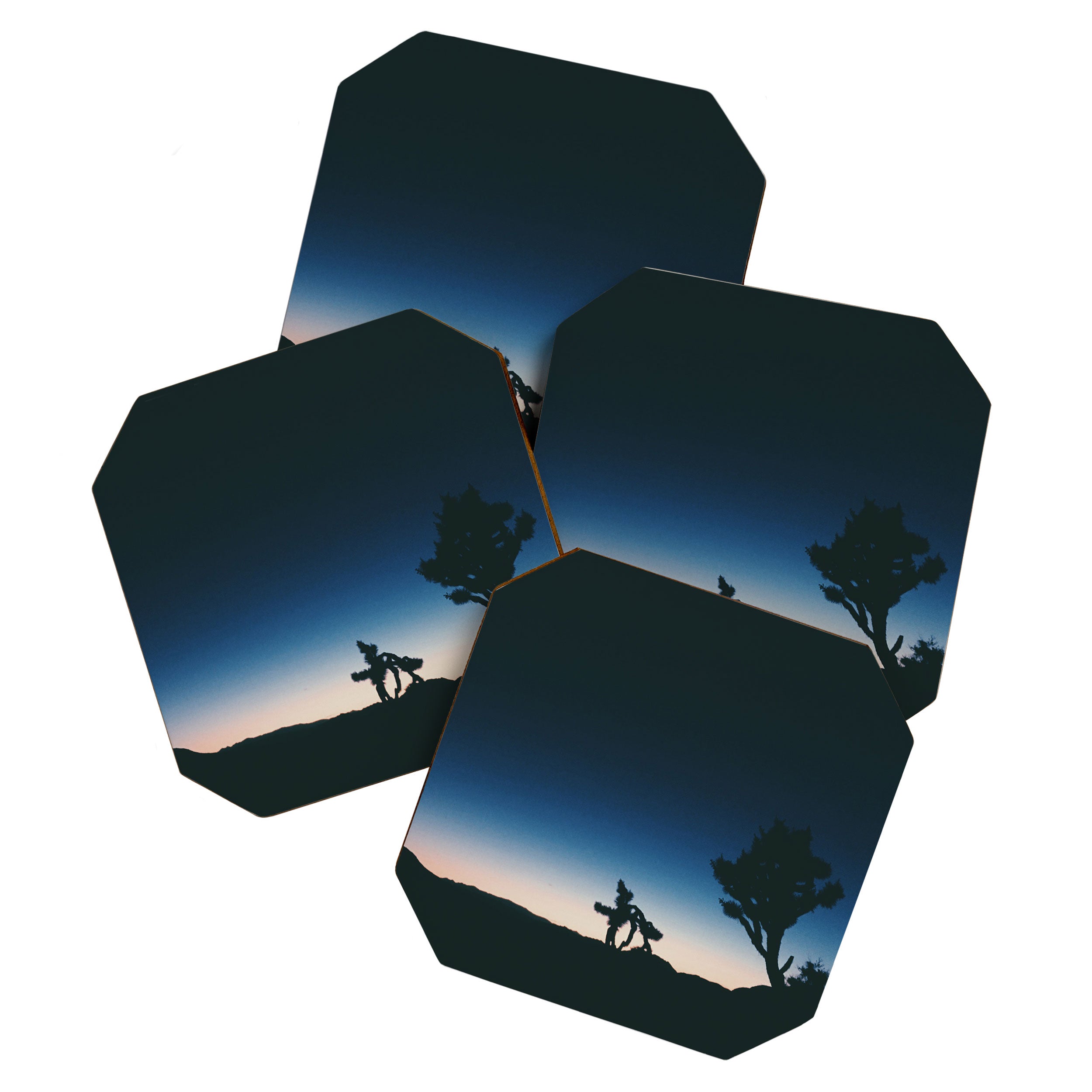 JOSHUA  TREE IV Coaster Gallery Image 1