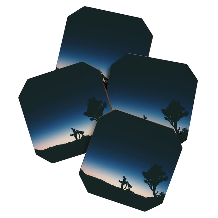JOSHUA  TREE IV Coaster Gallery Image 1