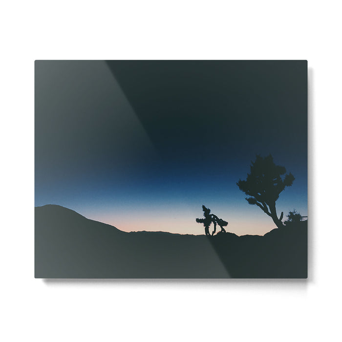JOSHUA  TREE IV Metal Print Gallery Image 1