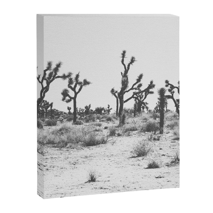 JOSHUA TREE IX / California Desert Canvas Print Gallery Image 1